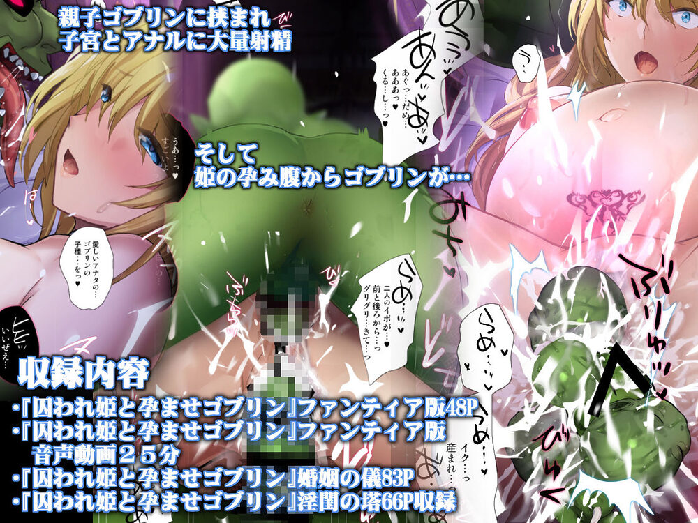 囚われ姫と孕ませゴブリン 画像5