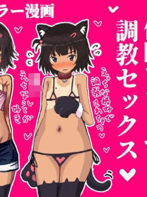 メス〇キを催●アプリで調教セックスする話【ユウバリ亭】